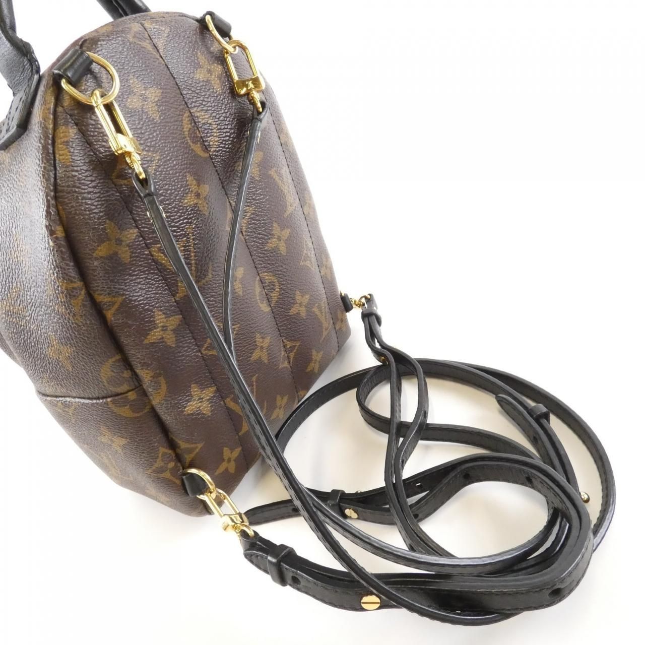 Louis Vuitton Monogram Palm Spring Backpack Mini Sac — view 7