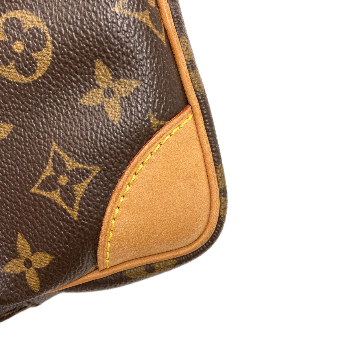 Louis Vuitton Amazon Shoulder Bag Monogram Canvas — view 9