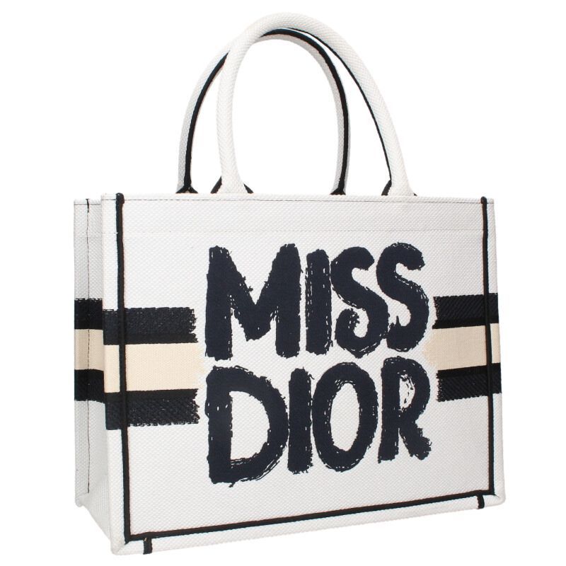 Dior Book Tote Paint Logo