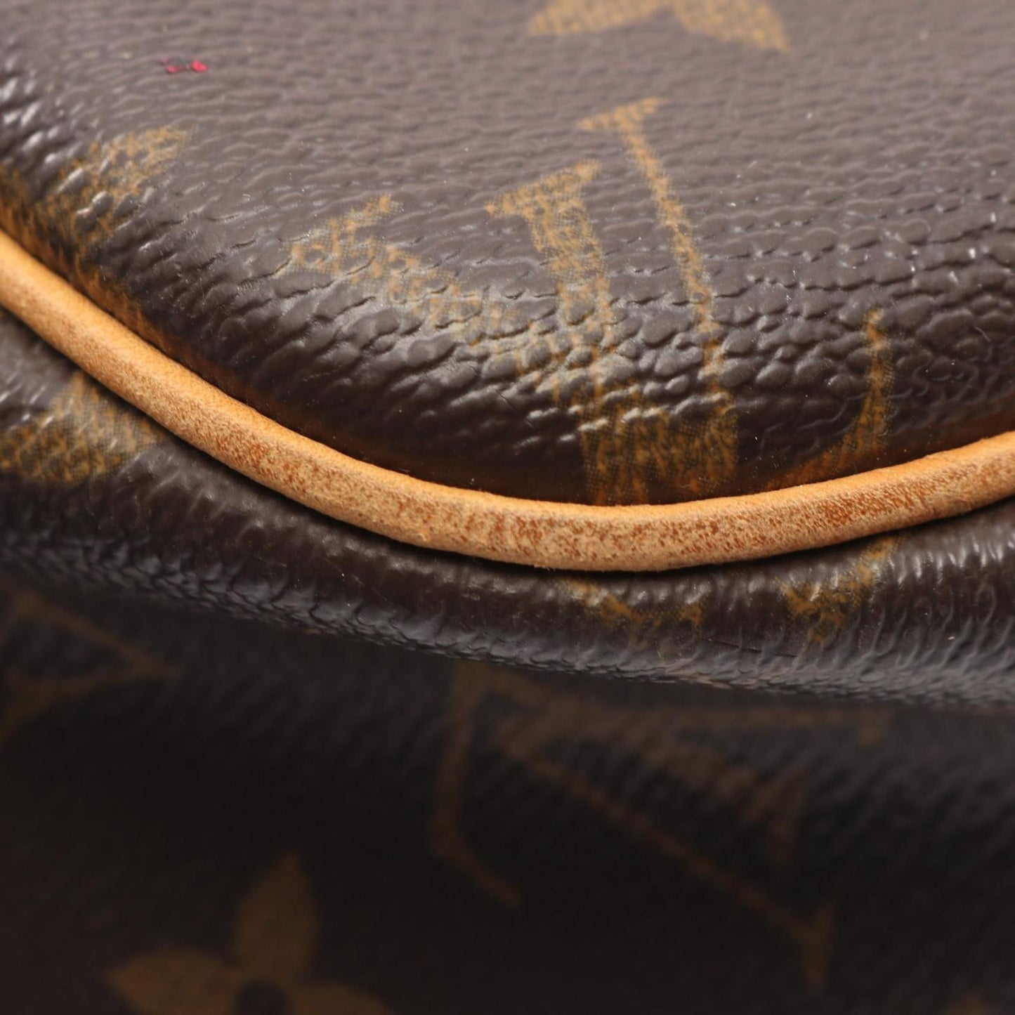 Louis Vuitton Shoulder Bag Reporter PM Canvas Leather — view 6