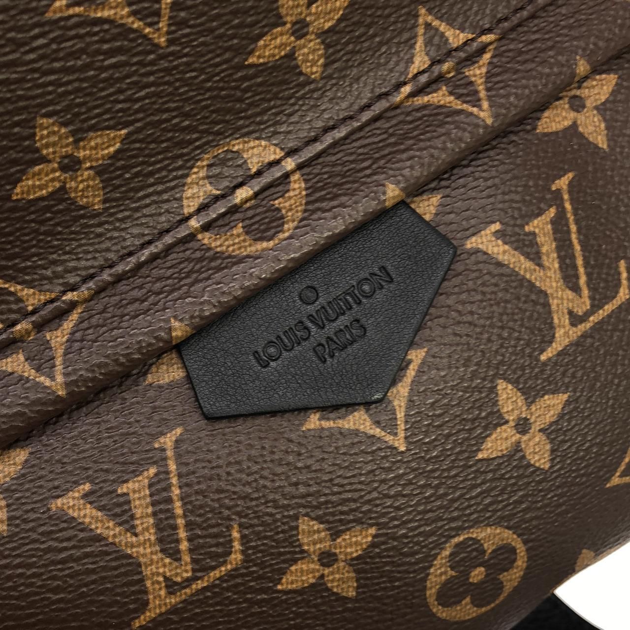 Louis Vuitton Monogram Palm Springs Backpack MM Sac — view 4