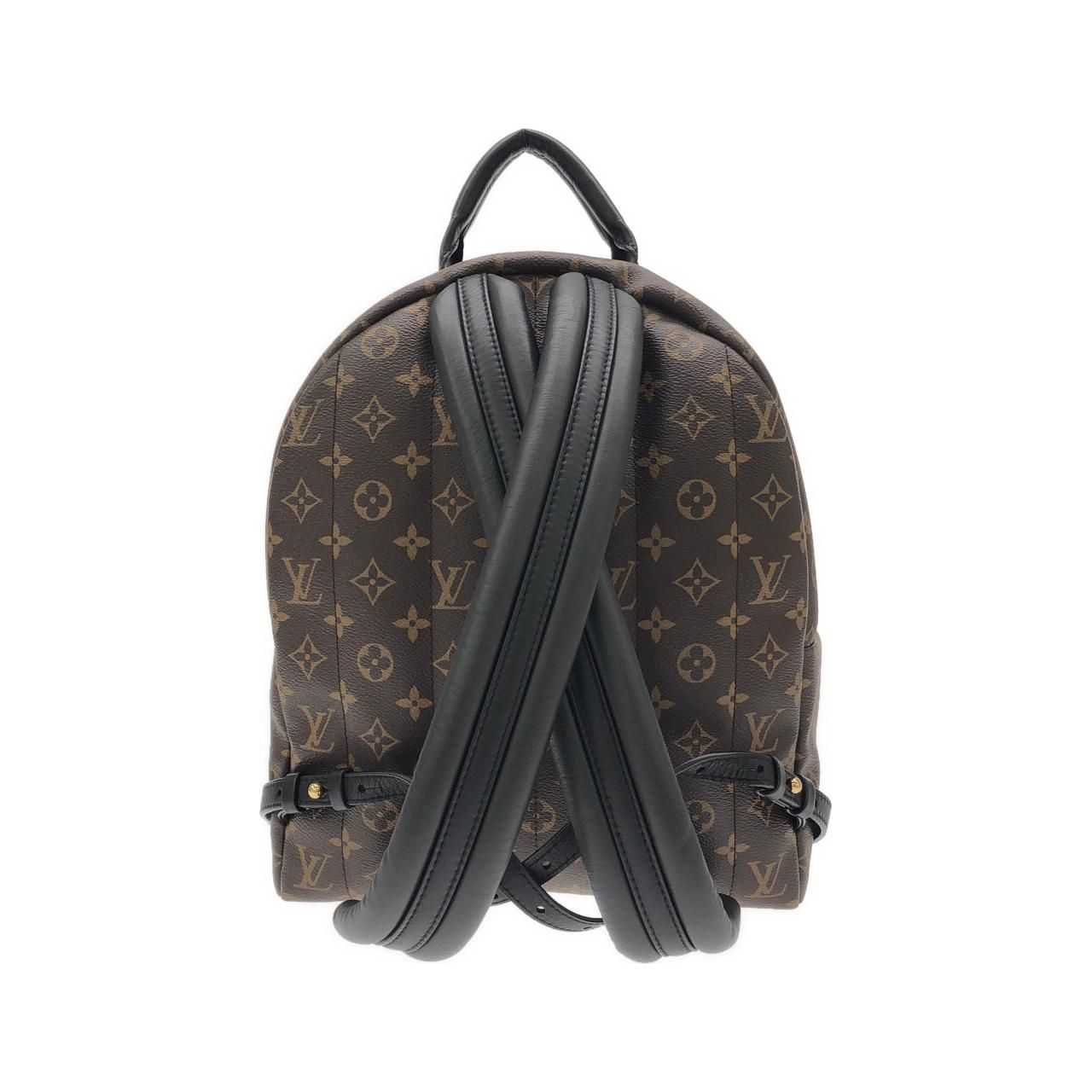 Louis Vuitton Monogram Palm Springs Backpack MM Sac — view 2