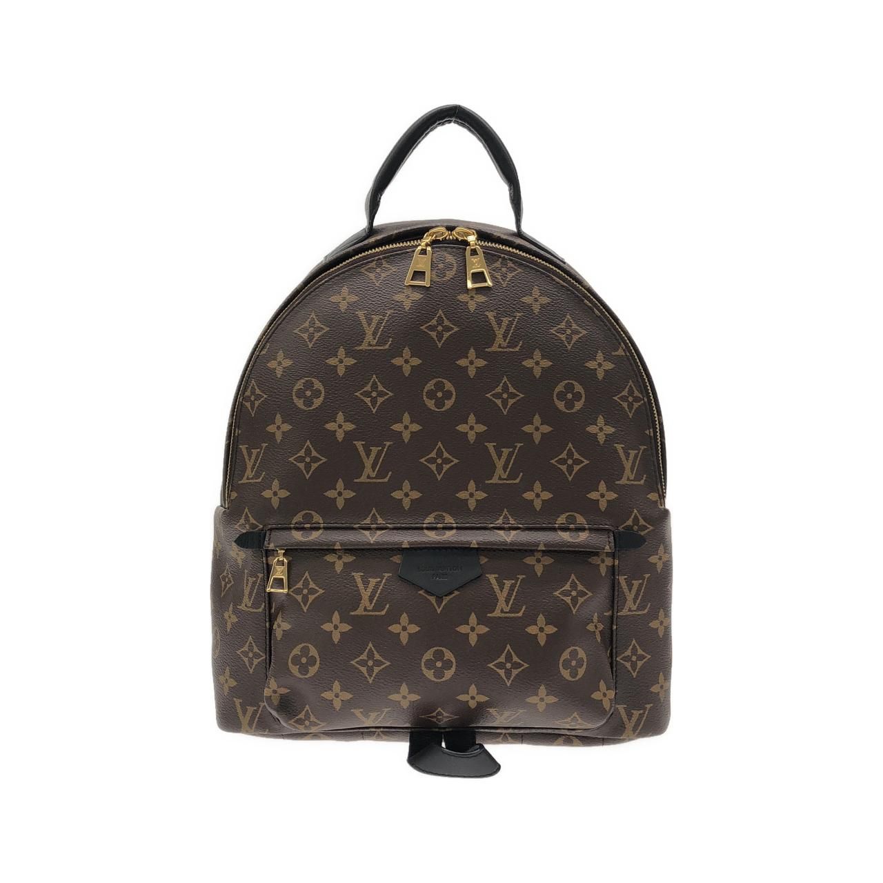 Louis Vuitton Monogram Palm Springs Backpack MM Sac
