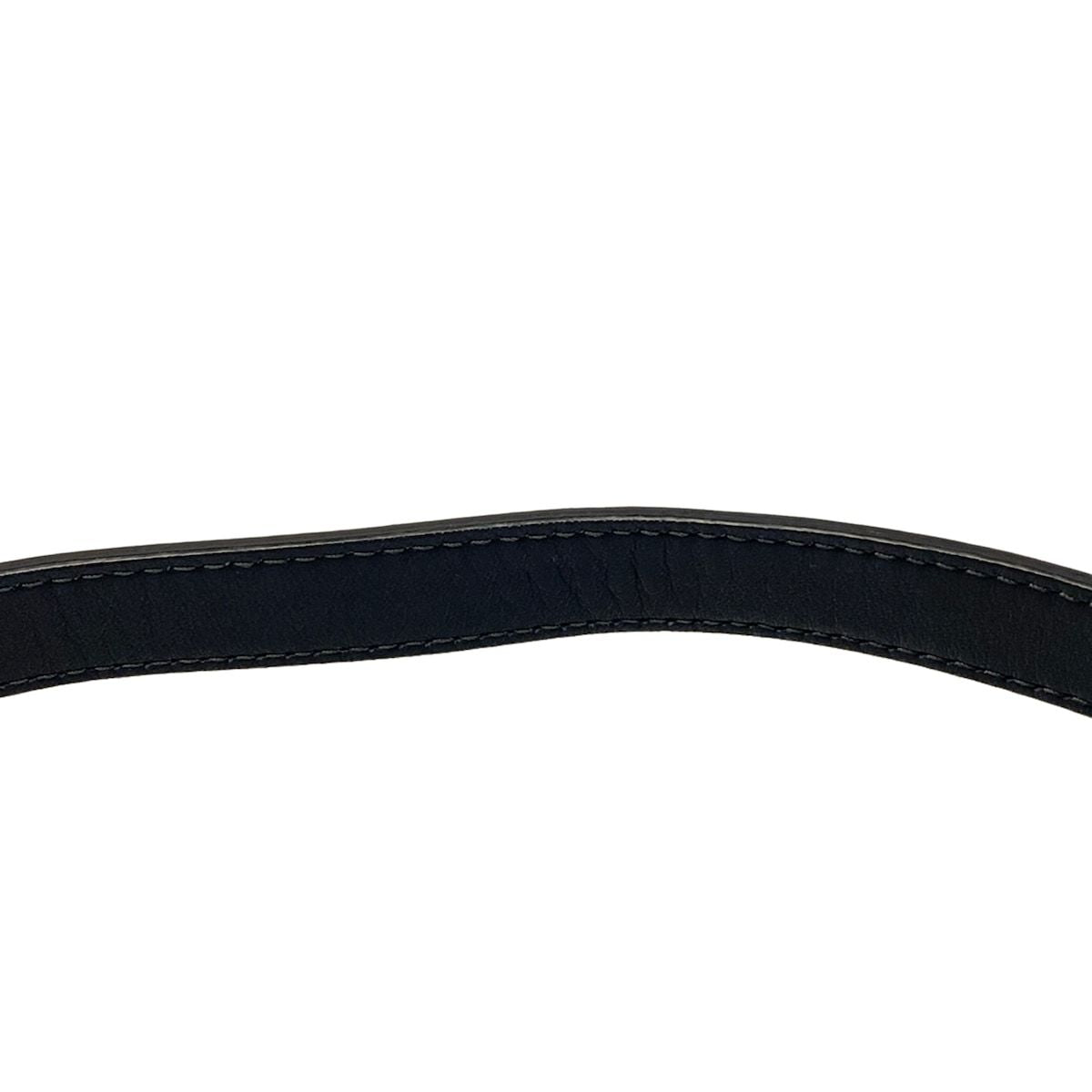 Dior Waist Pouch Saddle Oak Beige Navy Leather — view 9