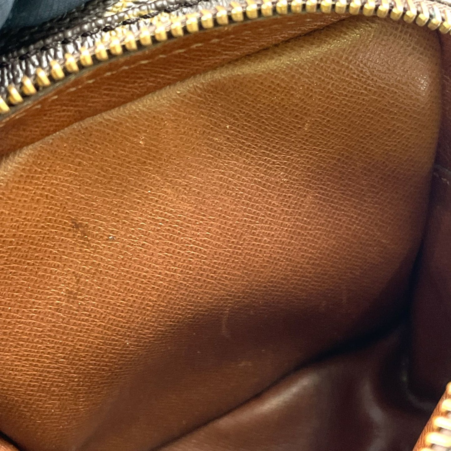 Louis Vuitton Mini Amazon Monogram Leather Brown Shoulder Bag Gold — view 7