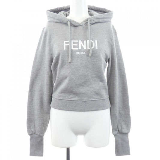 Fendi Alcb Hoodie Gray