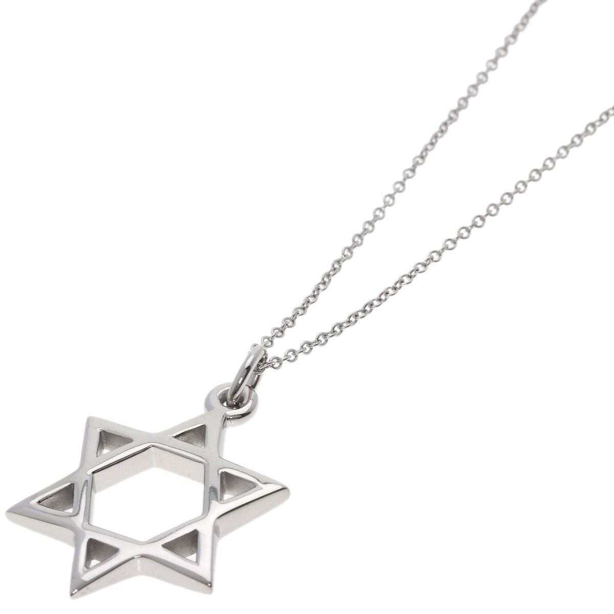 Tiffany & Co Davide Necklace 18k White Gold