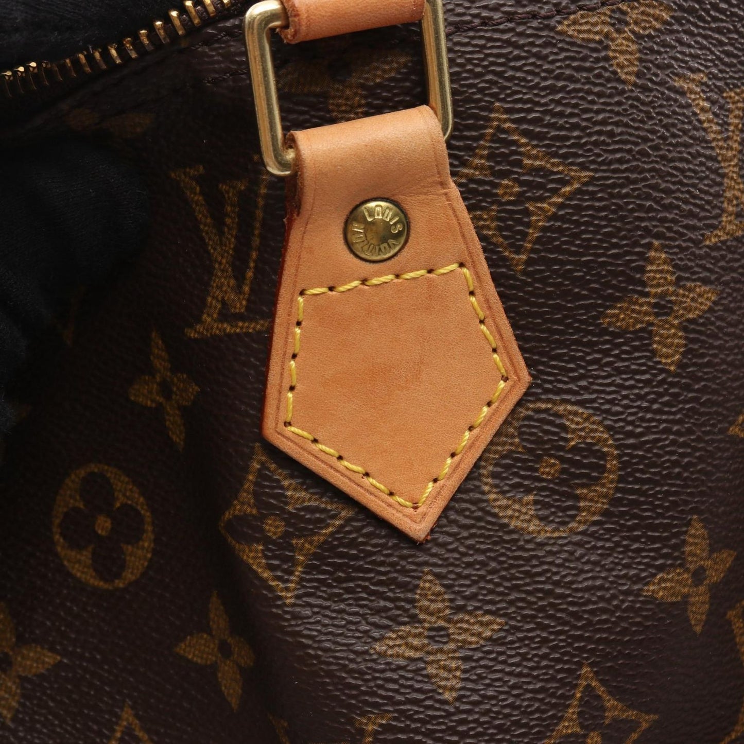 Louis Vuitton Handbag Speedy 40 Canvas Leather — view 8