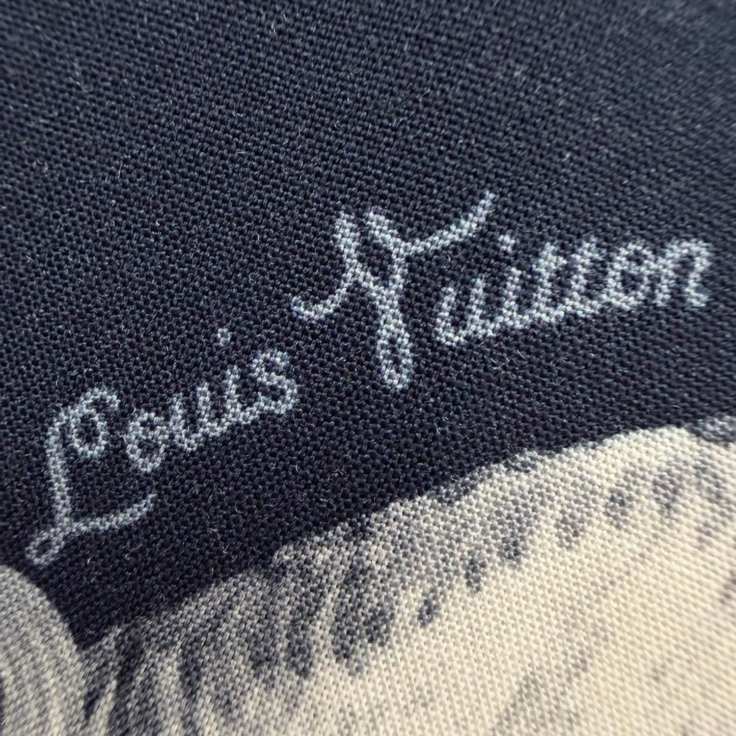 Louis Vuitton Chapman Brothers Brazza Rayon All Over Pattern Logo Button Short — view 6