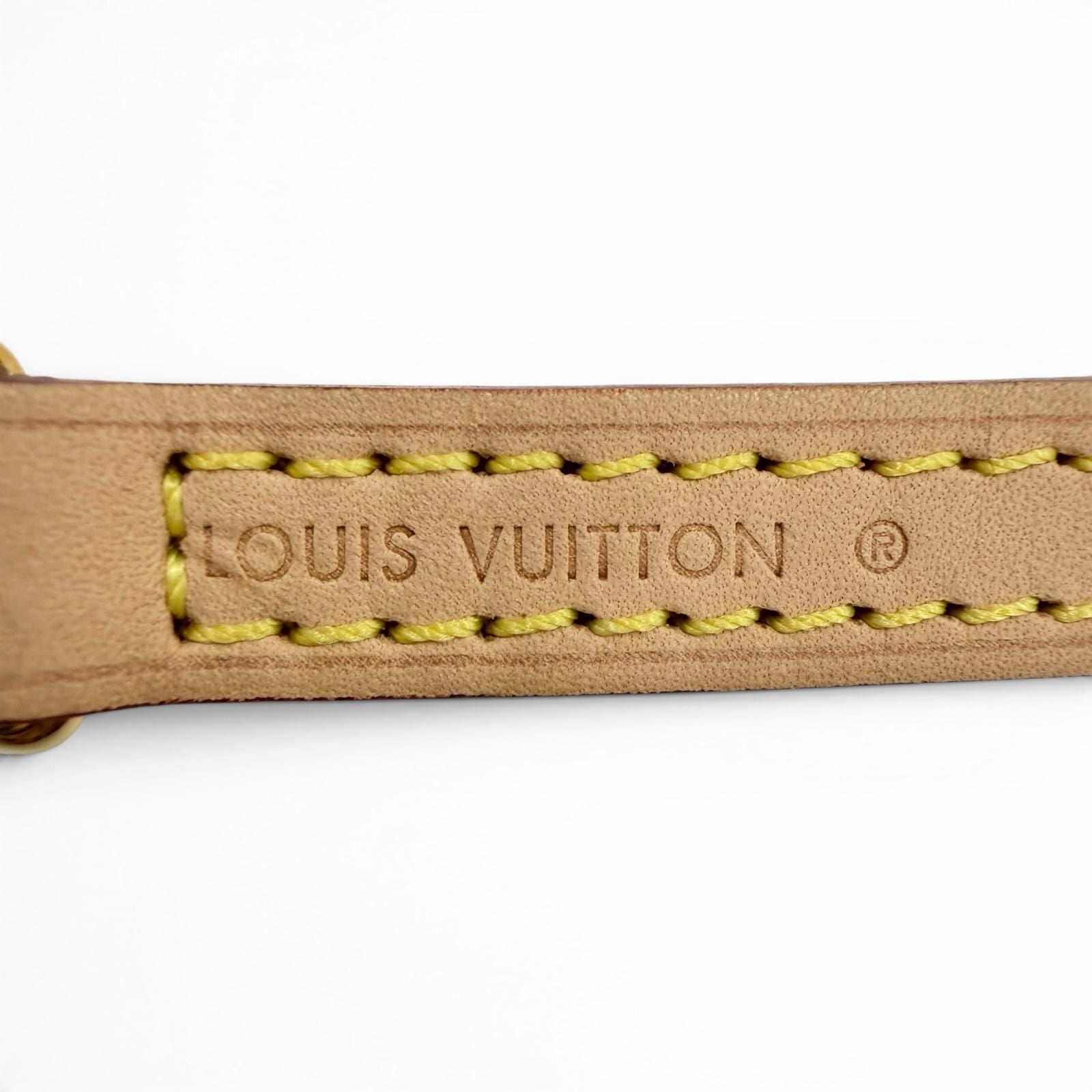 Louis Vuitton Logo Leather Shoulder Strap Light Brown Gold — view 5