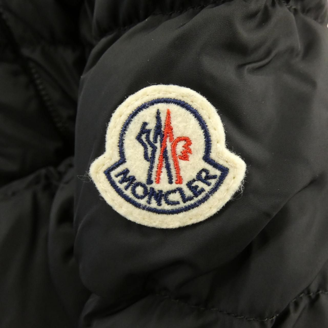 Moncler Sanglier Down Jacket — view 8