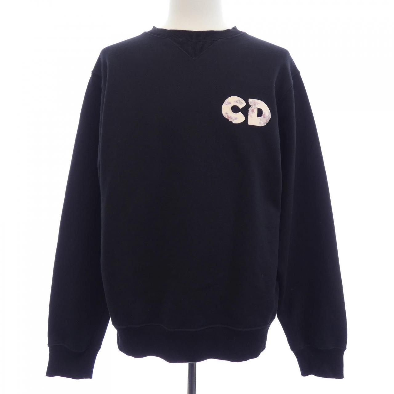 Dior Daniel Arsham Sweatshirt