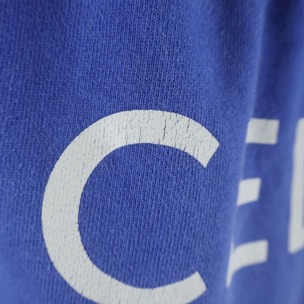 Celine Loose Joggers Sweatshirt Pants Blue — view 5