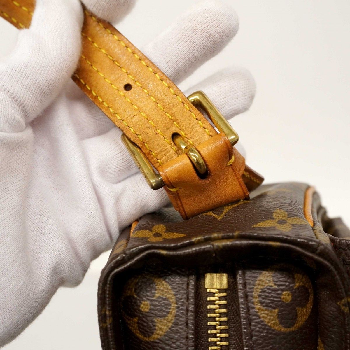Louis Vuitton Shoulder Bag Monogram Viva Cite MM Brown — view 9