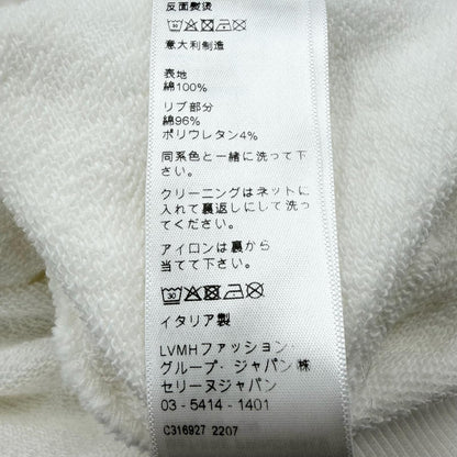 Celine Gradient Logo Loose Day Pullover Hoodie White — view 8