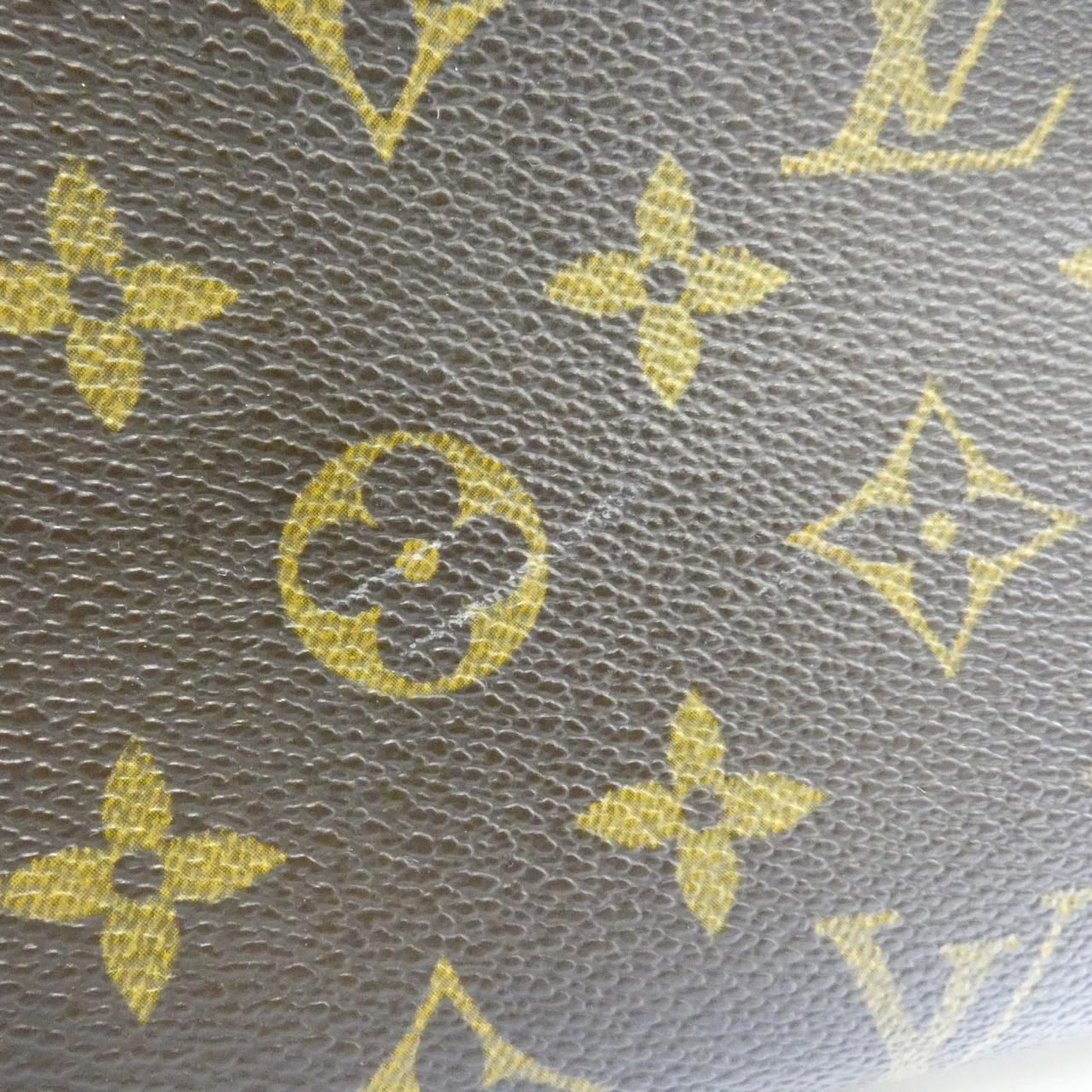 Louis Vuitton Monogram Nile Shoulder Bag — view 4