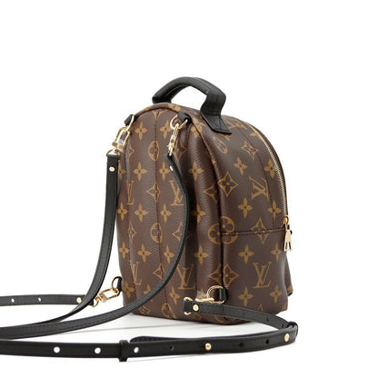 Louis Vuitton Monogram Palm Springs Backpack Mini Bag — view 3