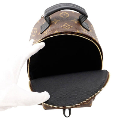 Louis Vuitton Monogram Palm Springs Backpack Mini Bag — view 6