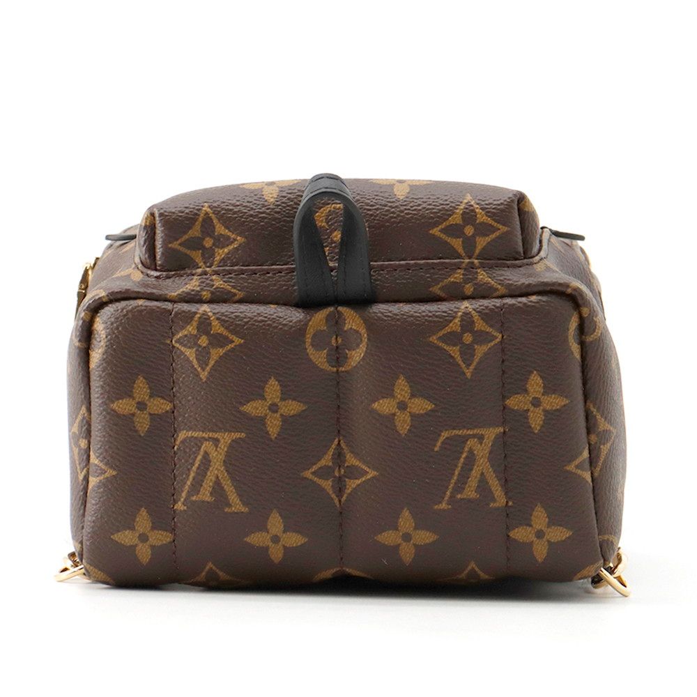 Louis Vuitton Monogram Palm Springs Backpack Mini Bag — view 4