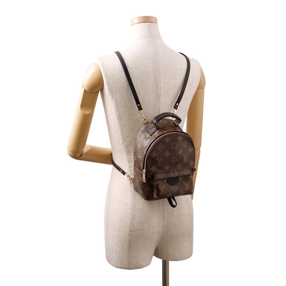 Louis Vuitton Monogram Palm Springs Backpack Mini Bag — view 5
