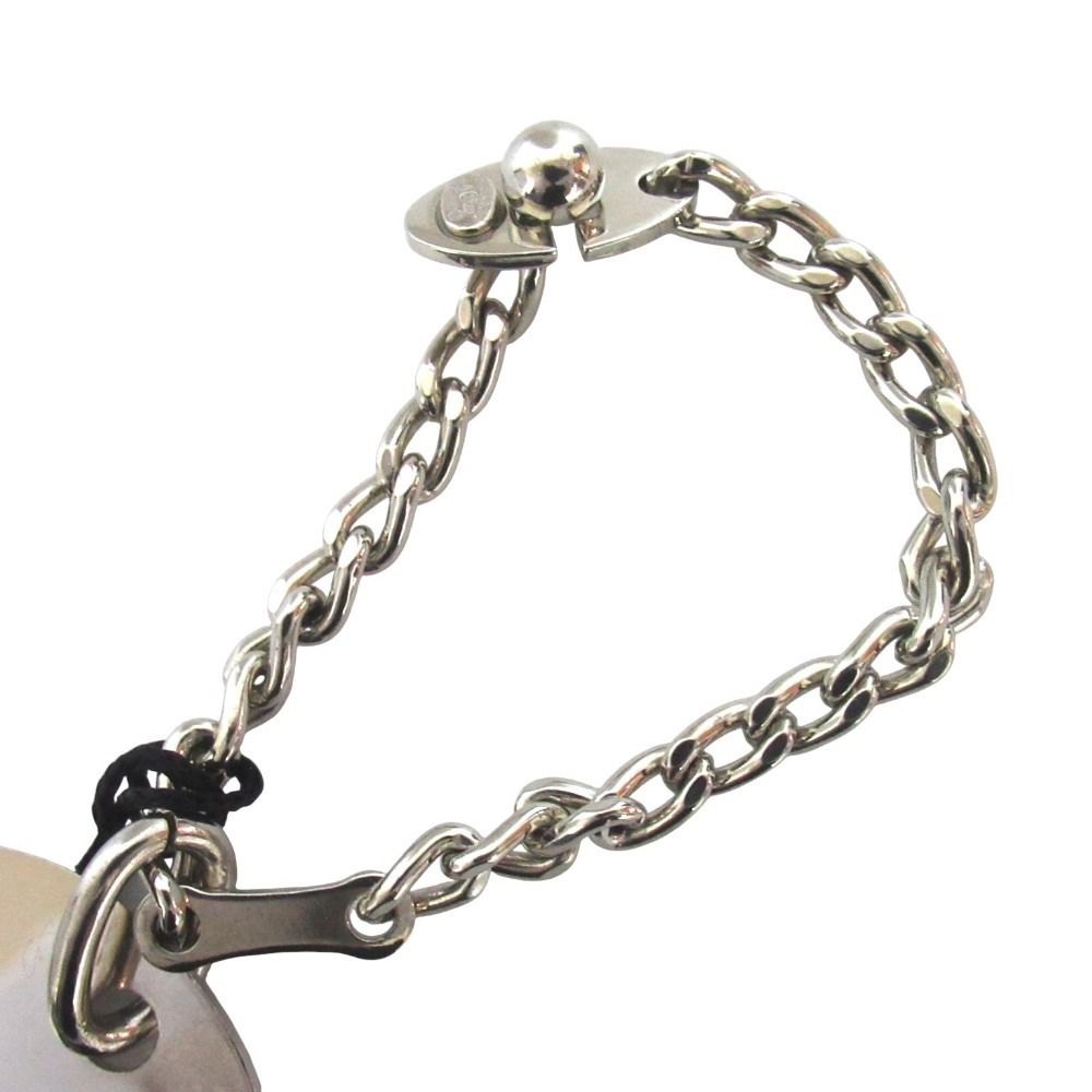 Chanel Dog Tag Logo Key Holder Bag Charm Silver — view 4