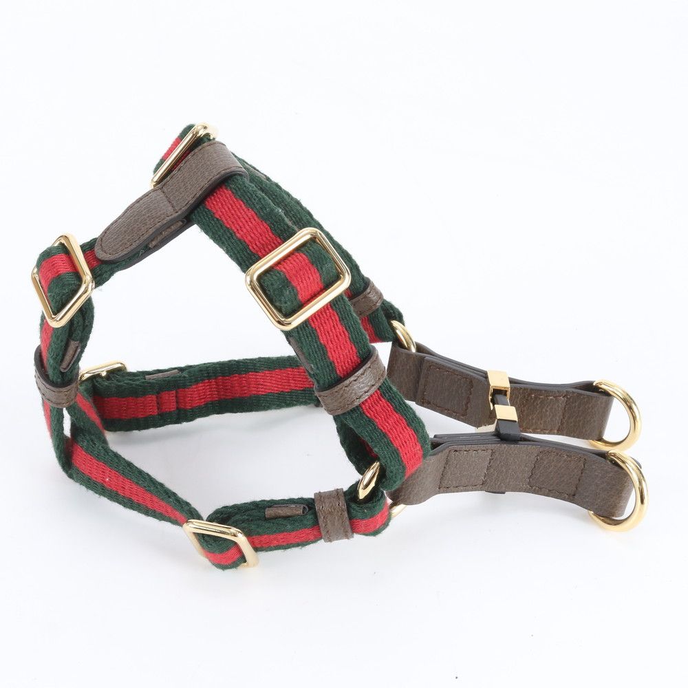 Gucci Sherry Line Pet Harness Adjustable Dog Equipment Torso Walking Outing — view 3
