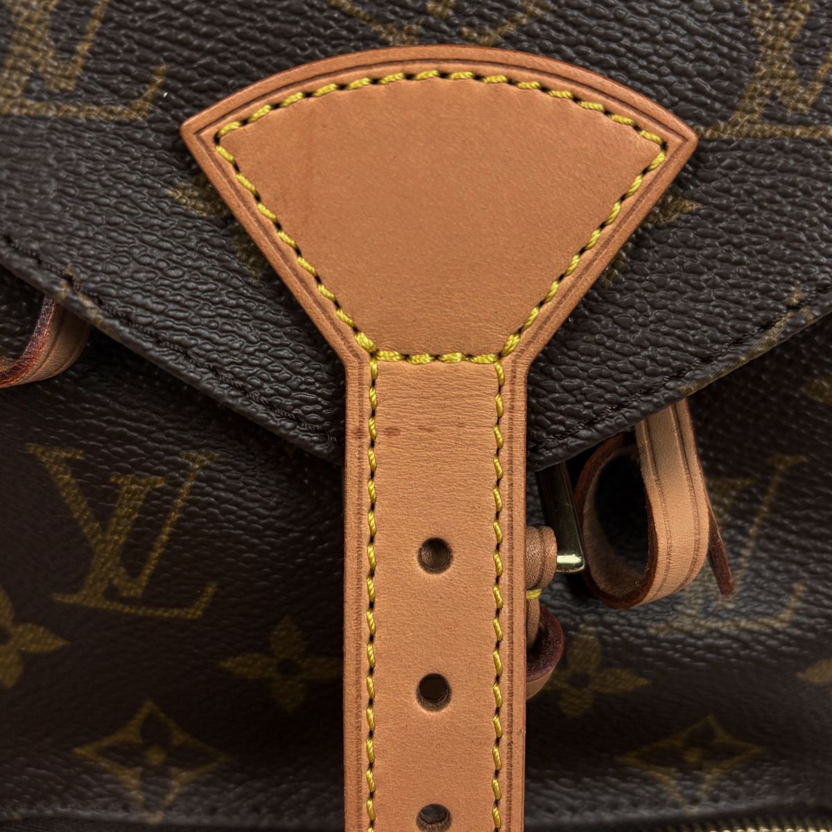 Louis Vuitton Montsouris MM Backpack Monogram Brown — view 5