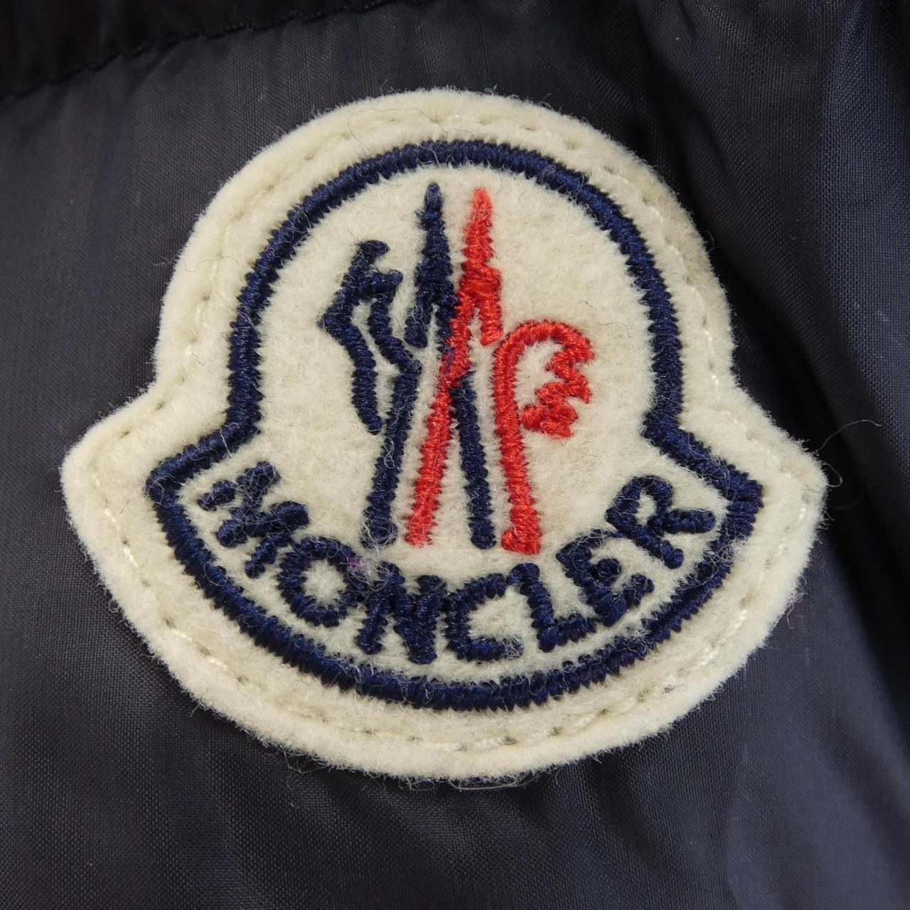 Moncler Willm Down Jacket — view 9