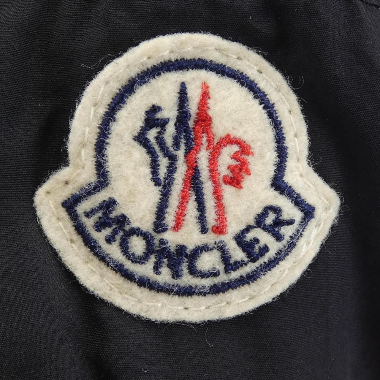 Moncler Brique Down Jacket — view 8