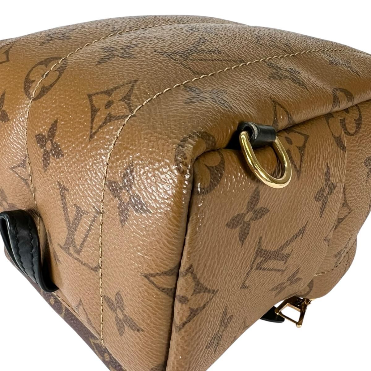 Louis Vuitton Monogram Reverse Mini Palm Springs Backpack Brown — view 9
