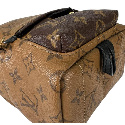 Louis Vuitton Monogram Reverse Mini Palm Springs Backpack Brown — view 6