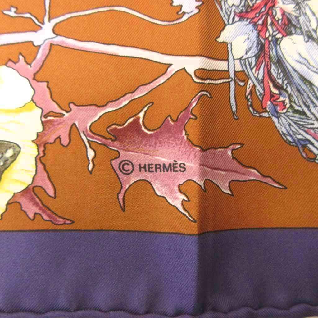 Hermes Carre 90 Faune Et Flore du Texas Illustrated Encyclopedia of Fauna and — view 7