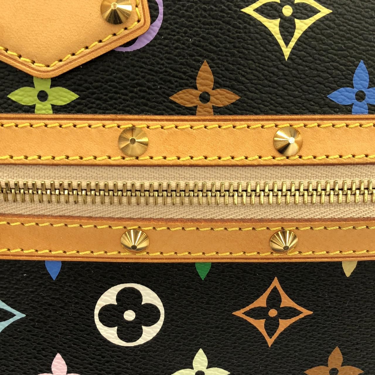 Louis Vuitton Multicolor Alma PM Bag — view 5