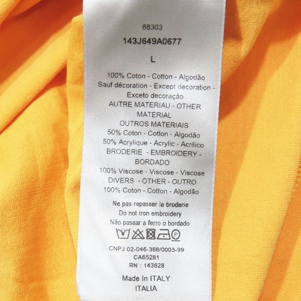 Dior Peter Doig Logo Embroidered Patch Short Sleeve T-Shirt Top L Orange — view 9