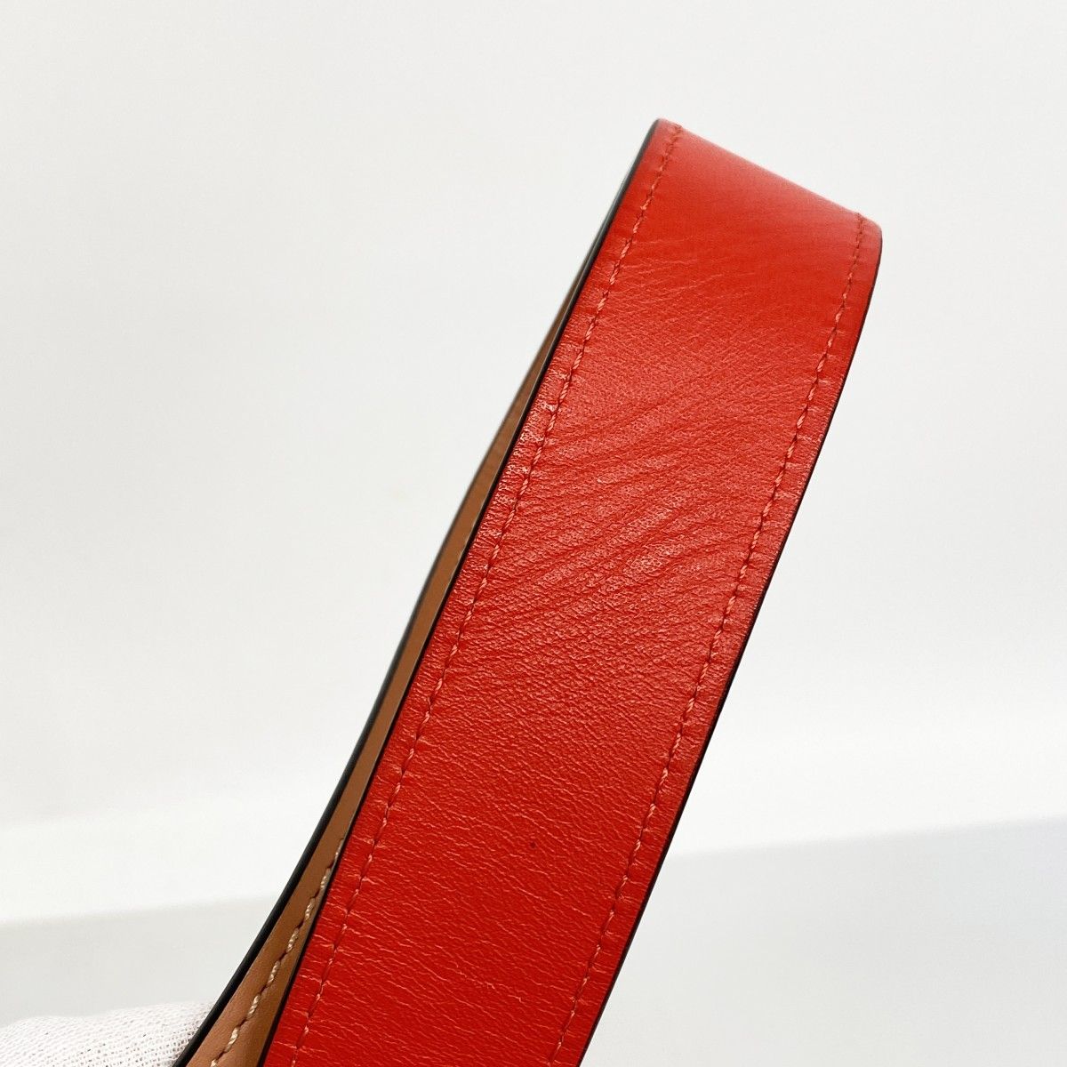 Louis Vuitton Handbag Monogram Tui Roulis Besace Kabuki 2-Way Bag — view 8