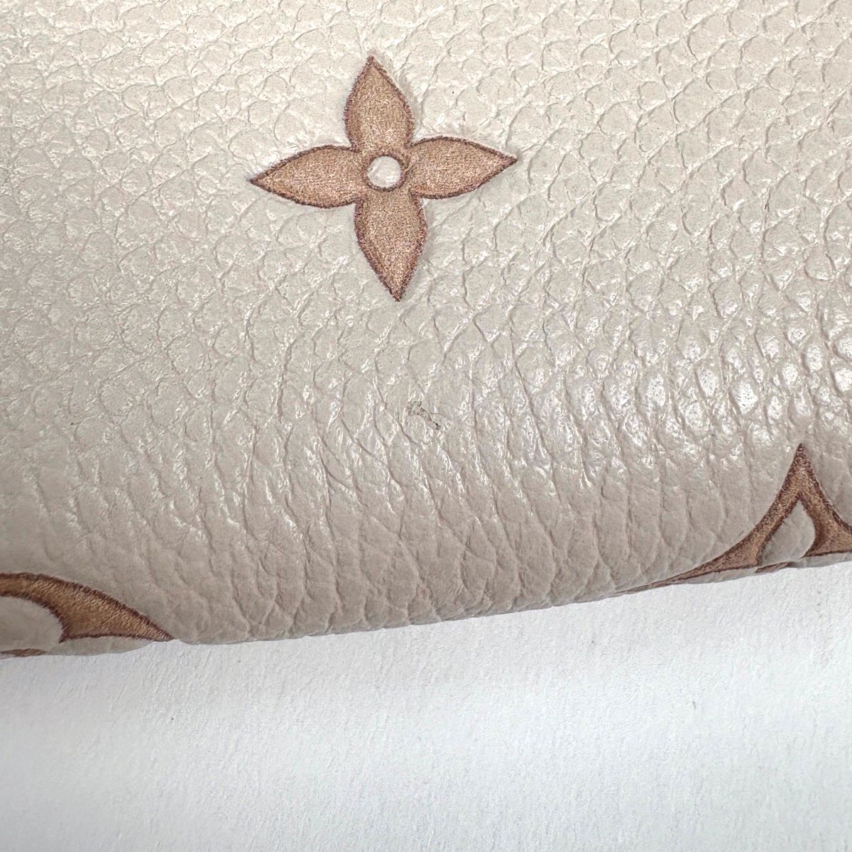 Louis Vuitton Zippy Coin Purse Monogram Empreinte Bicolor Eden — view 4