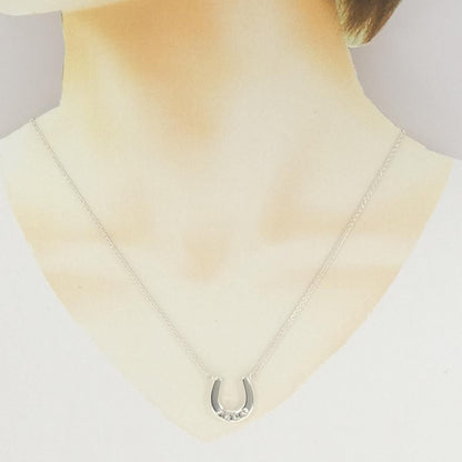 Tiffany & Co Horse Shoe Necklace — view 6