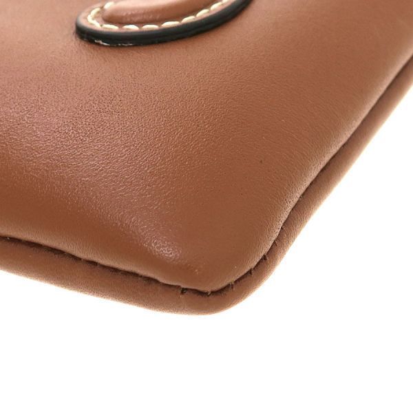 Celine Coin Pass Sum Scarf Skin — view 6