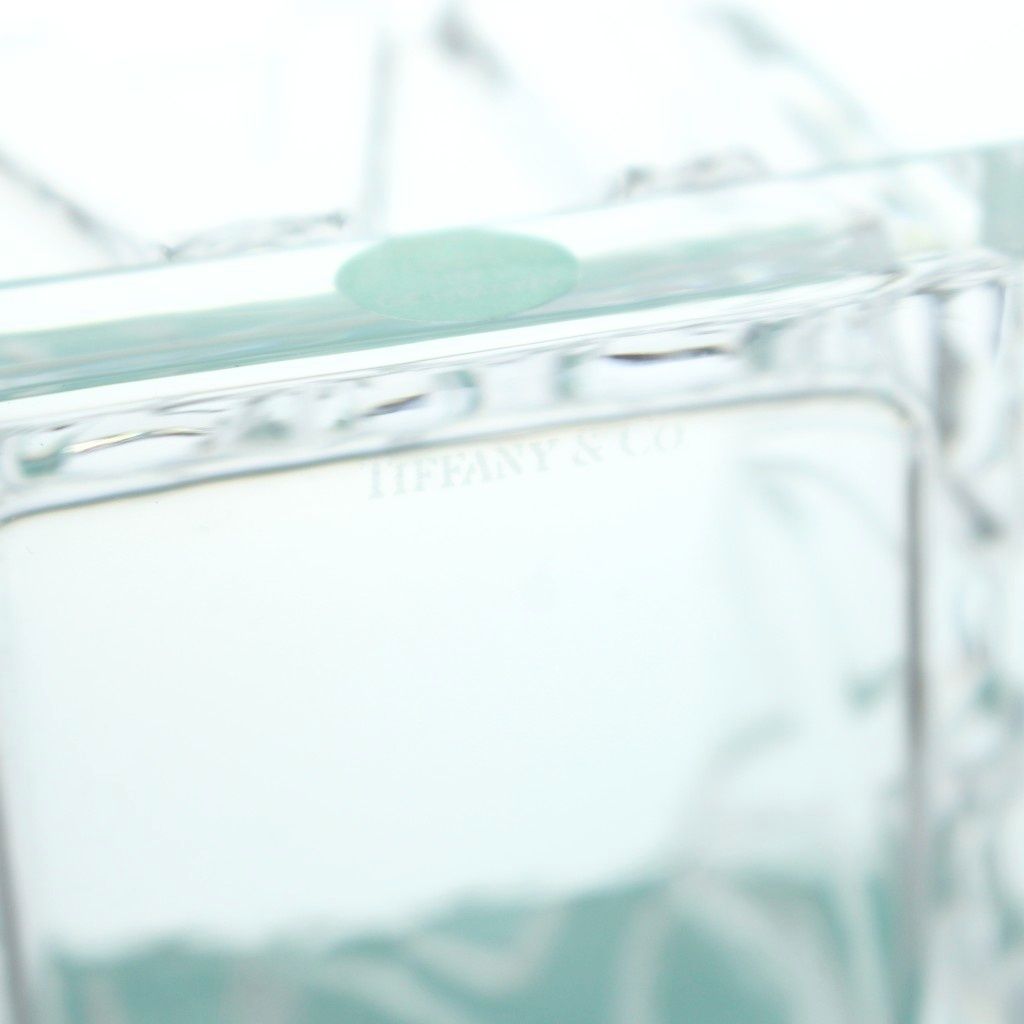 Tiffany & Co Atlas Crystal Box Glass Clear Case MW — view 5