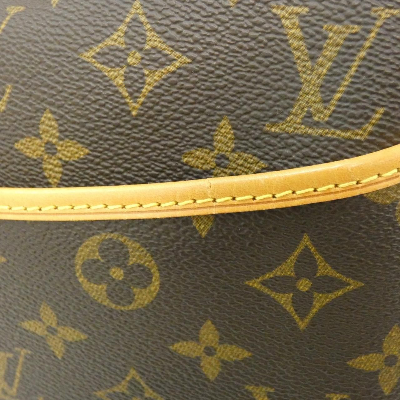 Louis Vuitton Monogram Alize 24 Earl Boston Bag — view 7