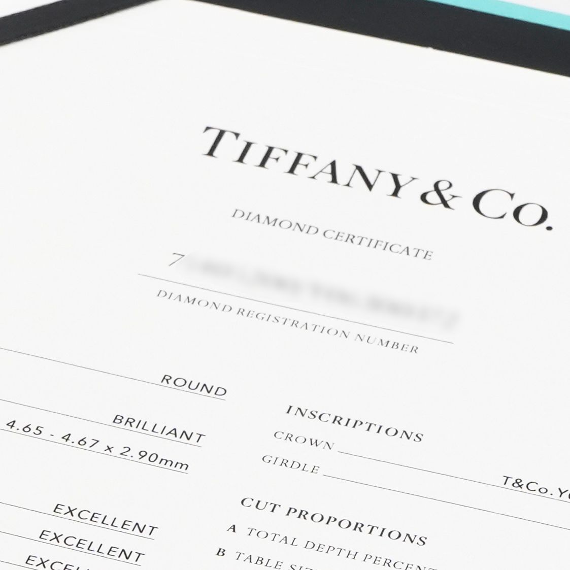 Tiffany & Co Round Brilliant Engagement Ring Platinum Harmony Silver — view 6