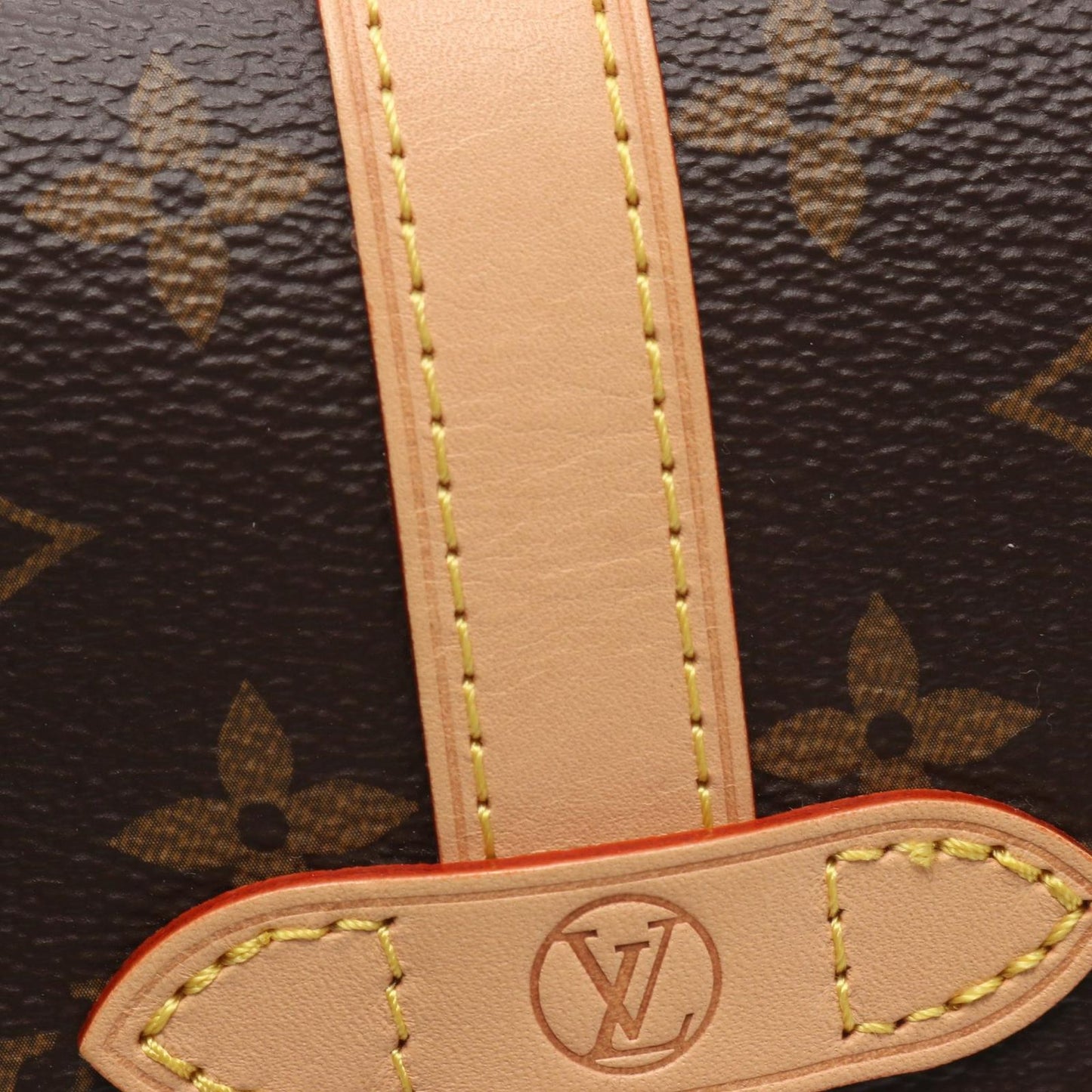 Louis Vuitton Handbag Saumur BB 2-Way Canvas Leather — view 5