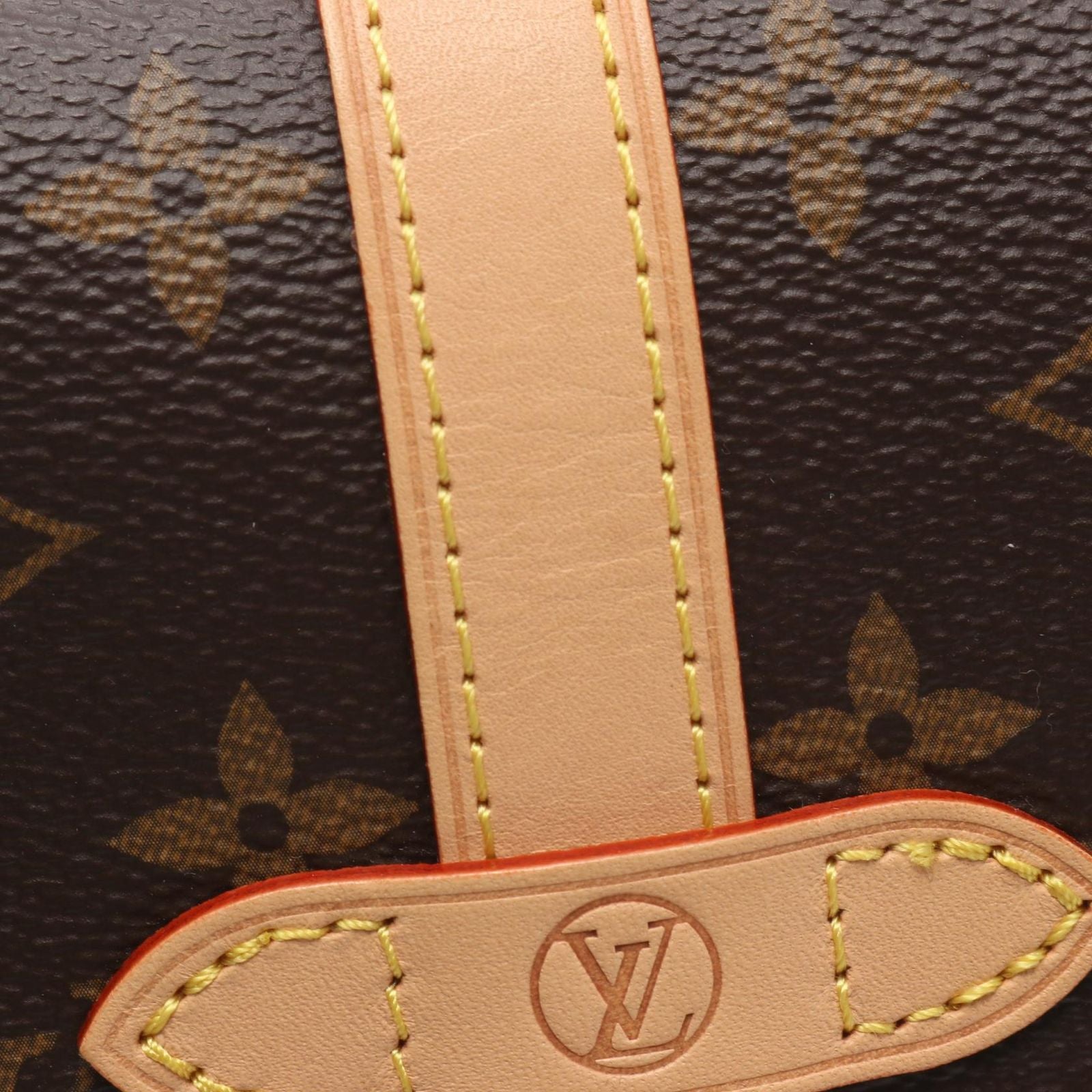 Louis Vuitton Handbag Saumur BB 2-Way Canvas Leather — view 5