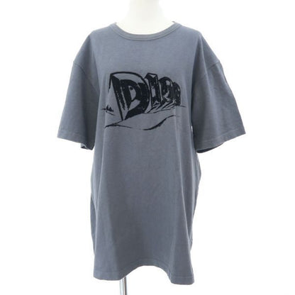 Dior T-Shirt Gray