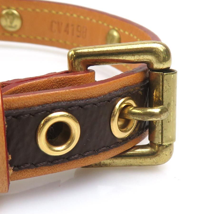 Louis Vuitton Collar Monogram Collier Baxter PM Shoulder Bag — view 6