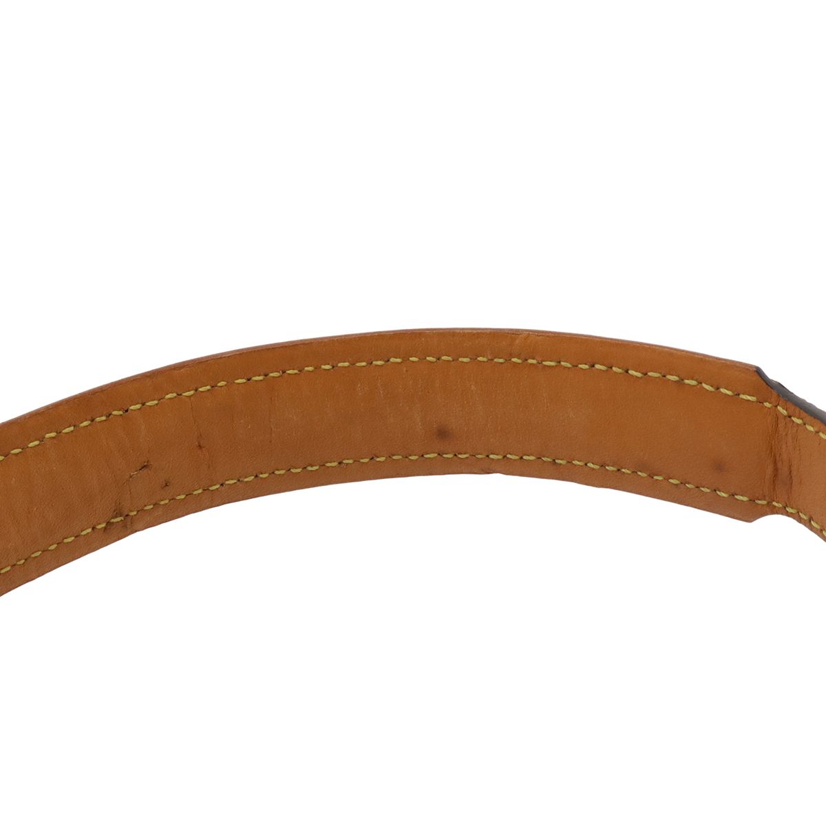 Louis Vuitton Monogram Less Baxter GM Collie GM Set Dog Tall Collar Pet Dog Pet — view 3