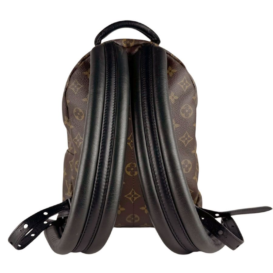 Louis Vuitton Palm Springs Backpack PM — view 3