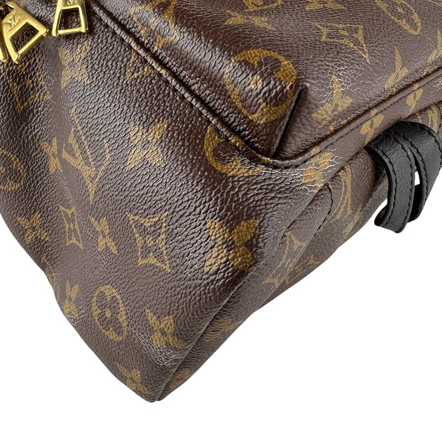 Louis Vuitton Palm Springs Backpack PM — view 8