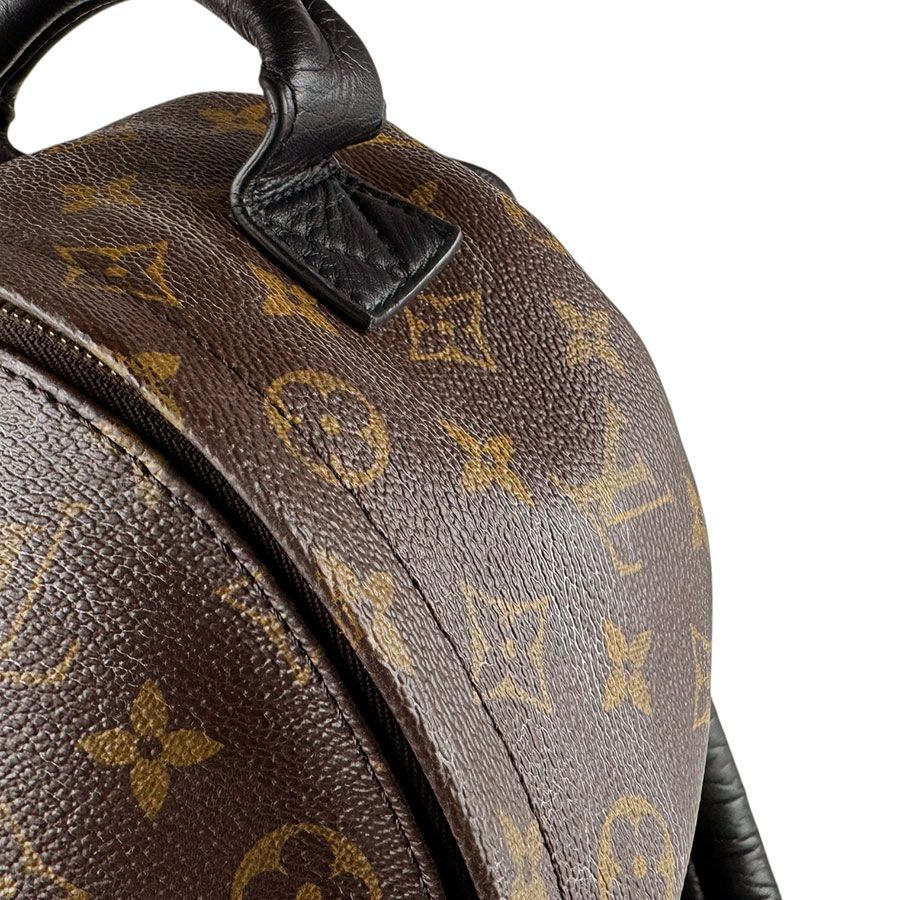 Louis Vuitton Palm Springs Backpack PM — view 7