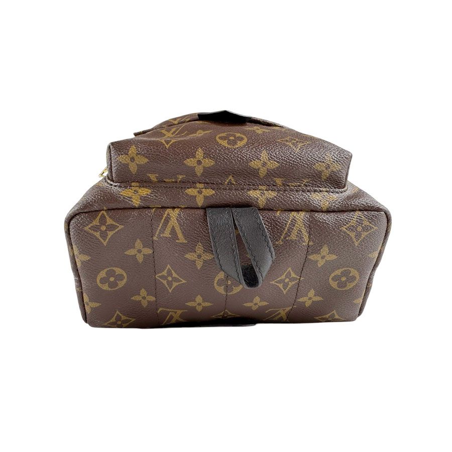 Louis Vuitton Palm Springs Backpack PM — view 4